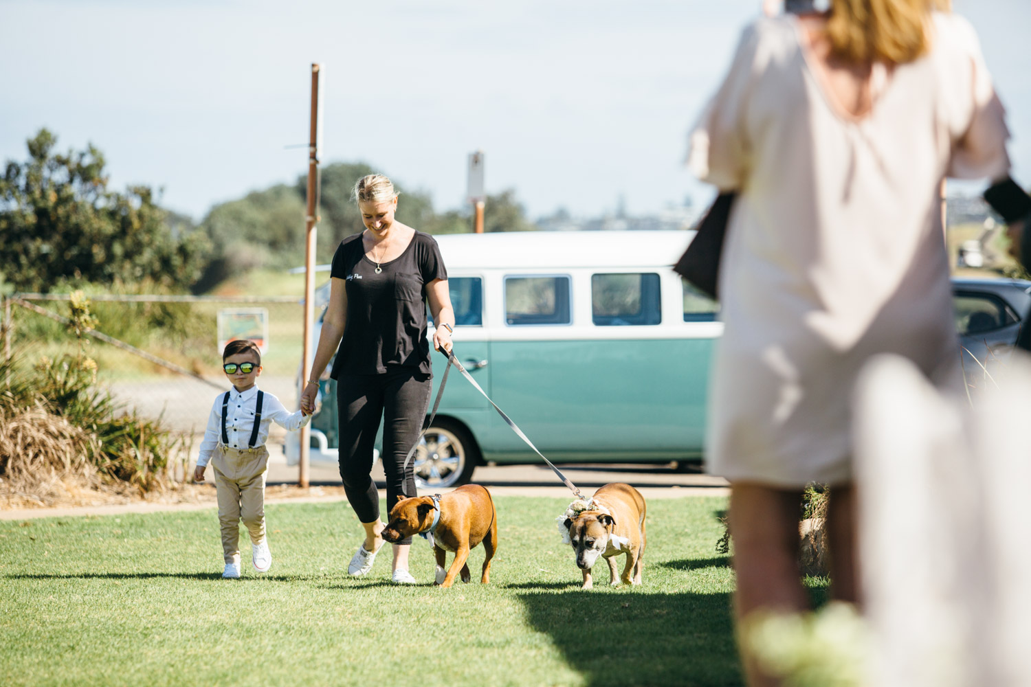 Should We Bring Our Dog To Our Wedding?